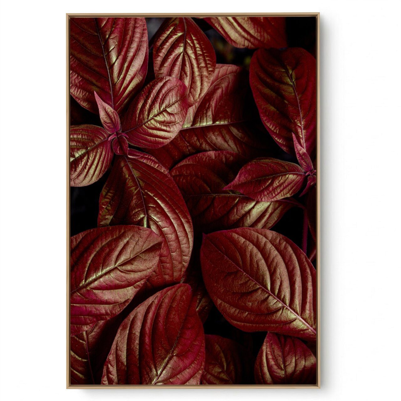 Quadro Decorativo Folhagem Natural Close VII