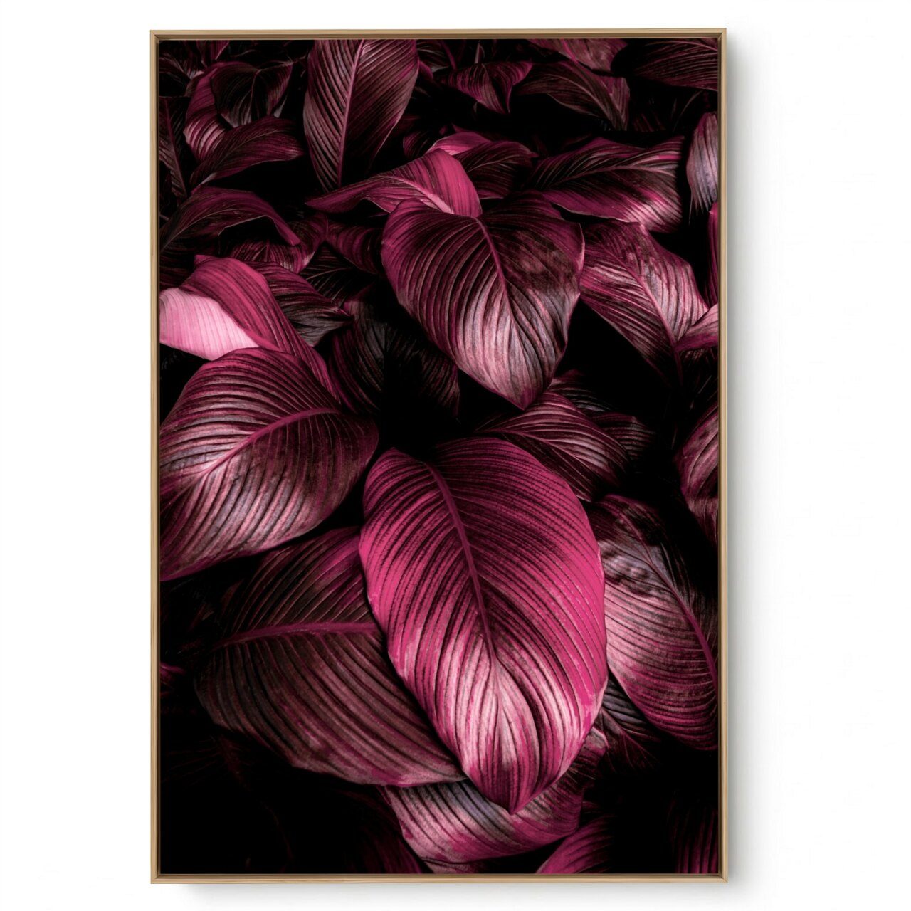 Quadro Decorativo Folhagem Natural Close VIII