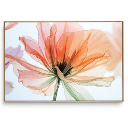 Quadro Decorativo Floral Alegria