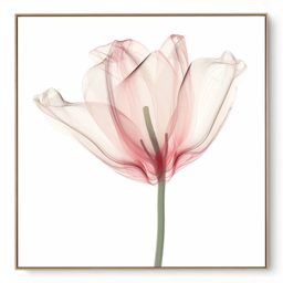 Quadro Decorativo Flor Lumini II