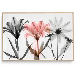 Quadro Decorativo Floral Transparência