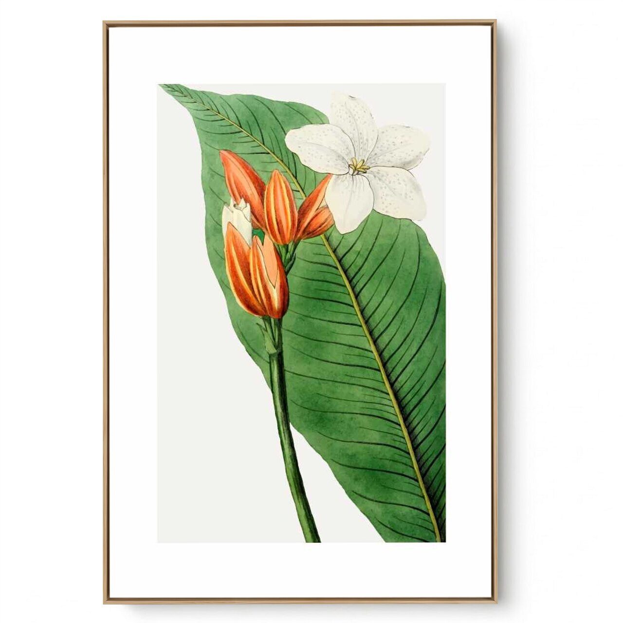 Quadro Decorativo Flores Brasileiras 