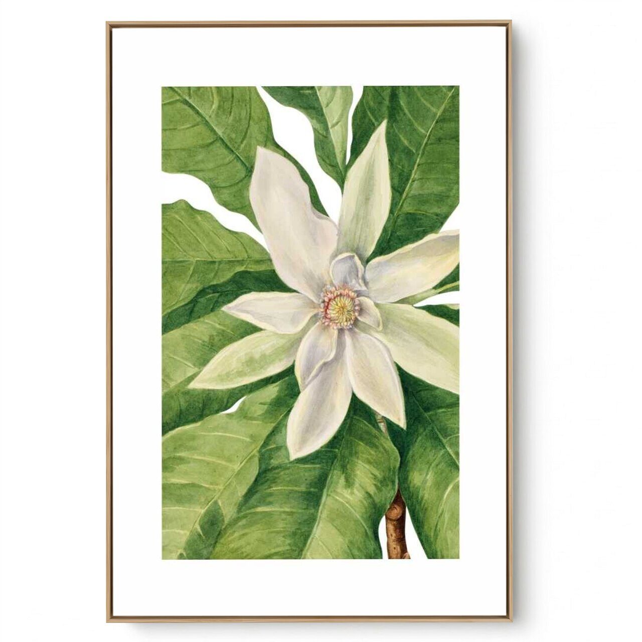 Quadro Decorativo Flores Brasileiras II
