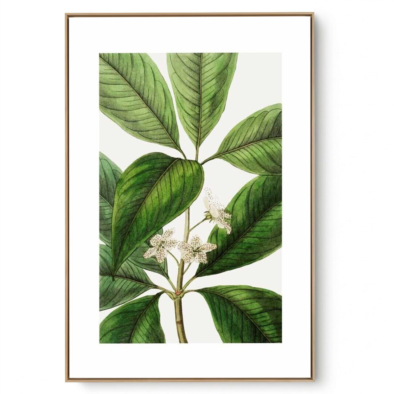 Quadro Decorativo Flores Brasileiras III