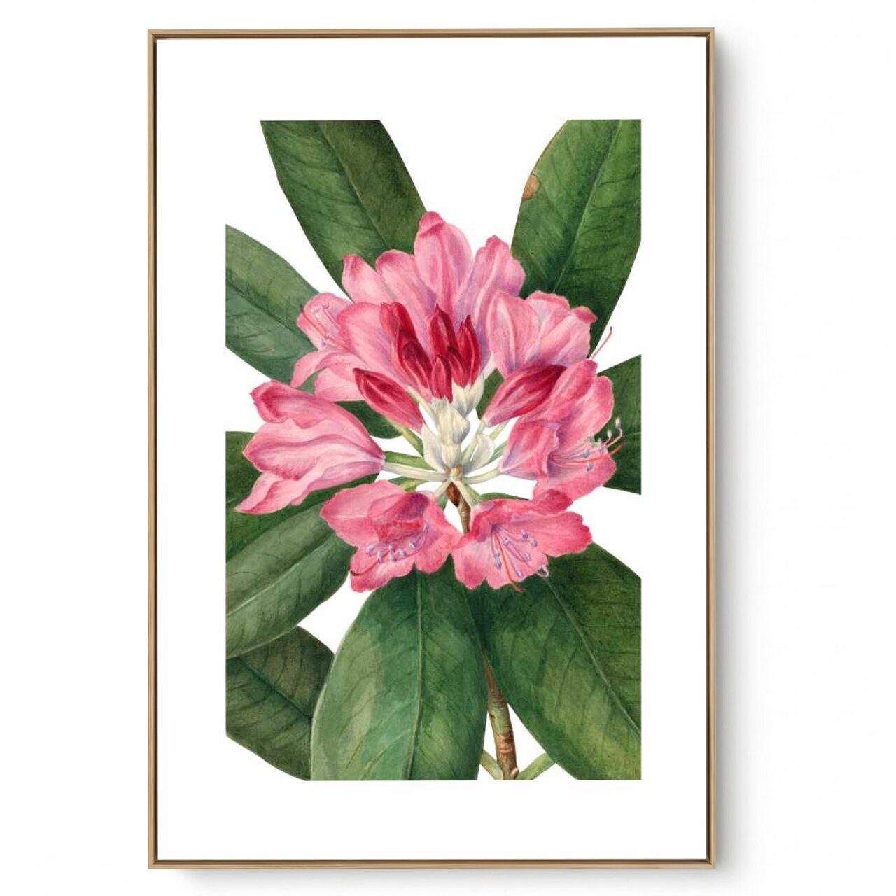 Quadro Decorativo Flores Brasileiras IV