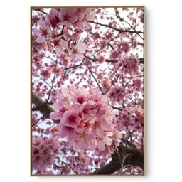 Quadro Decorativo Floral Cerejeira I