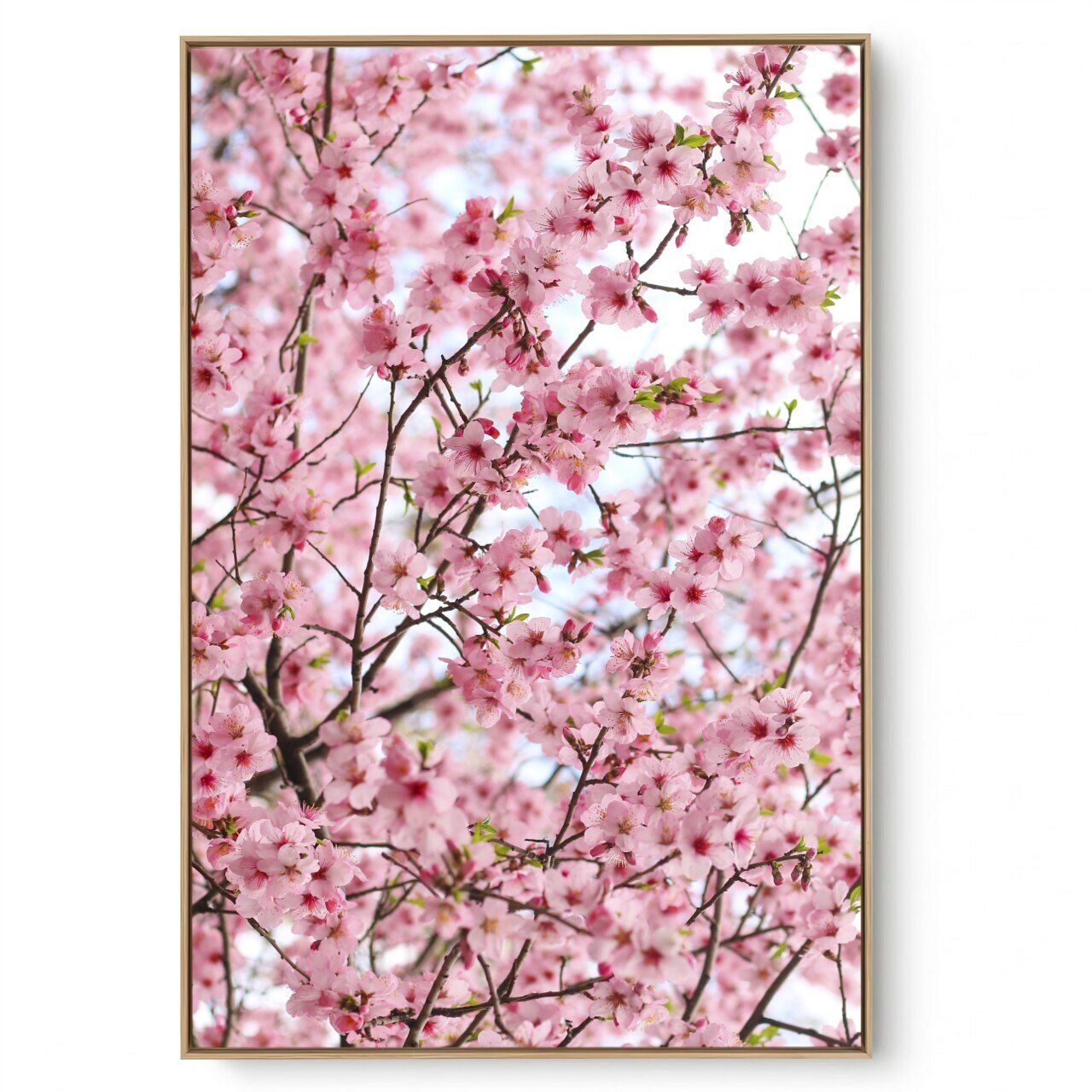 Quadro Decorativo Floral Cerejeira II