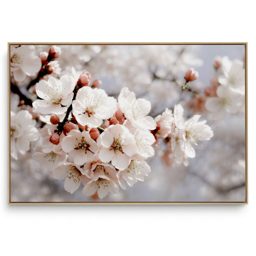 Quadro Decorativo Floral Cerejeira IX