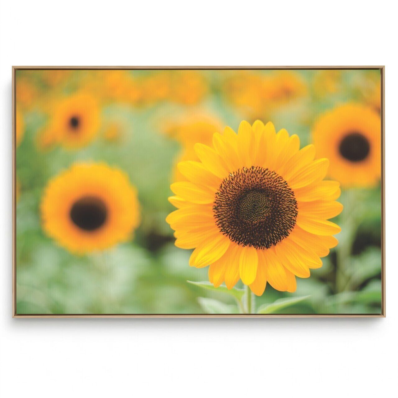 Quadro Decorativo Girassol Único III