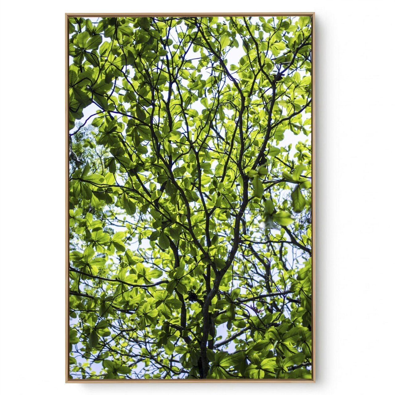 Quadro Decorativo Galhos e  Folhas 