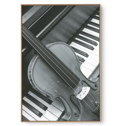 Quadro Decorativo Instrumento II