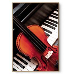 Quadro Decorativo Instrumento V