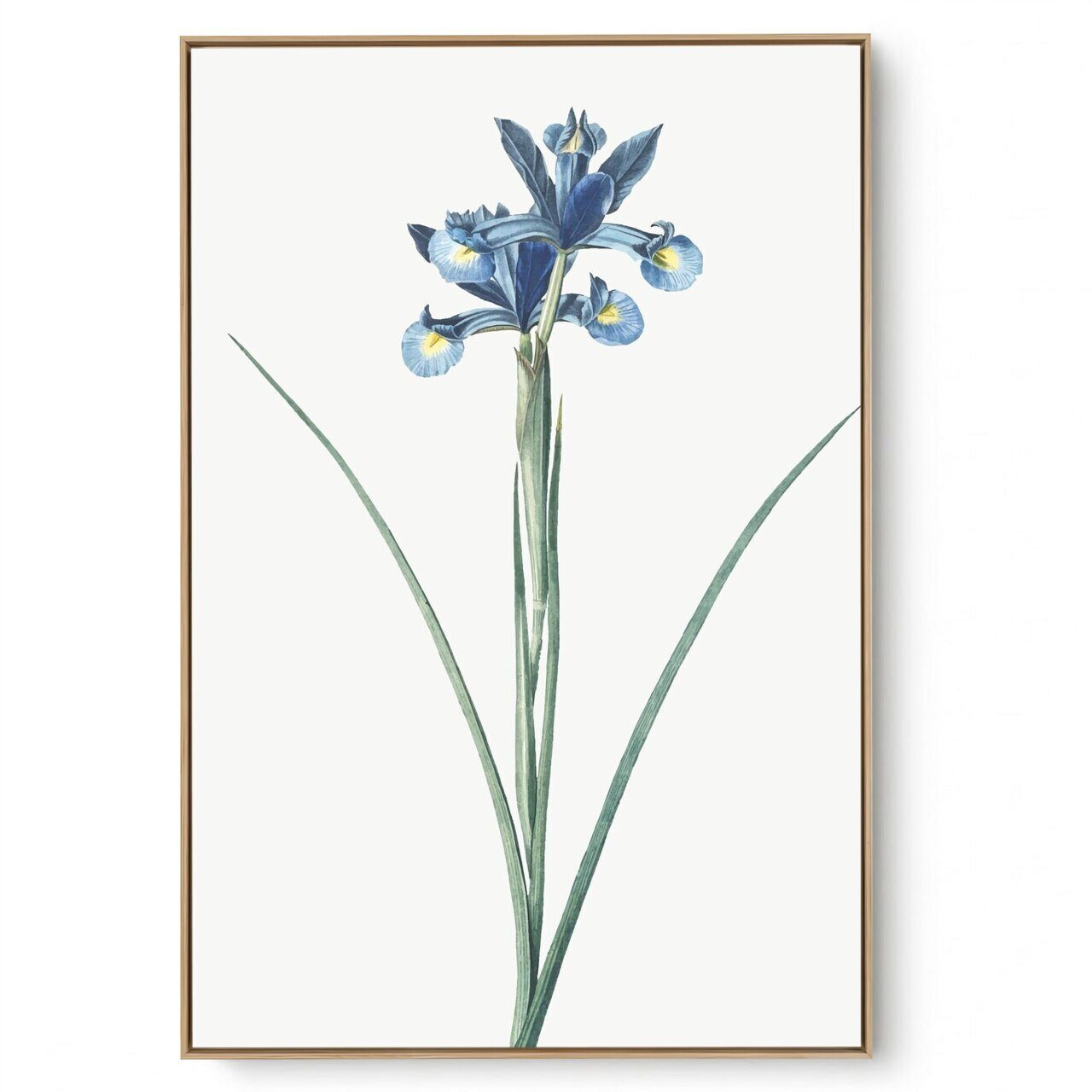 Quadro Decorativo Iris Az II