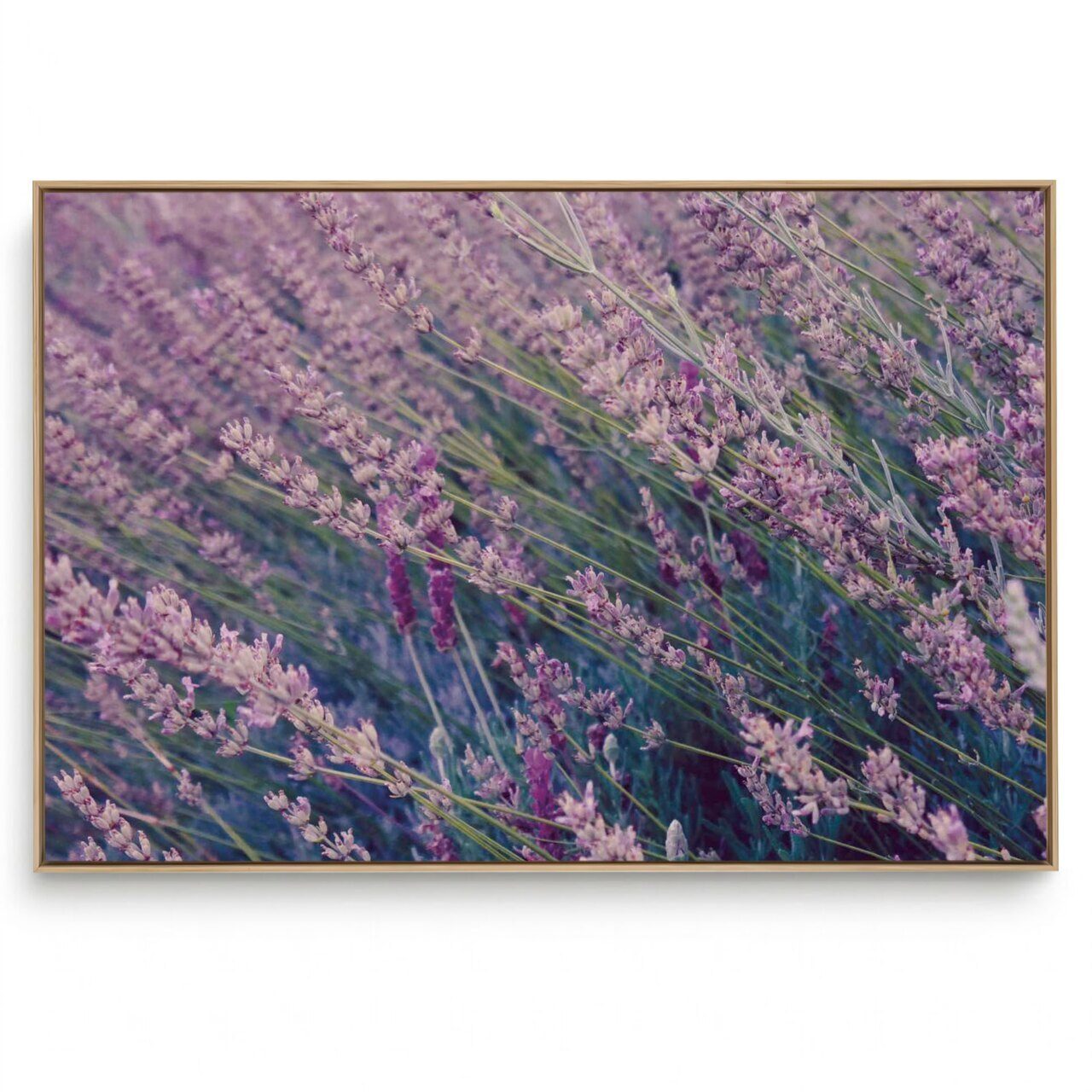 Quadro Decorativo Lavanda