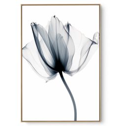 Quadro Decorativo Lírio Cristal II