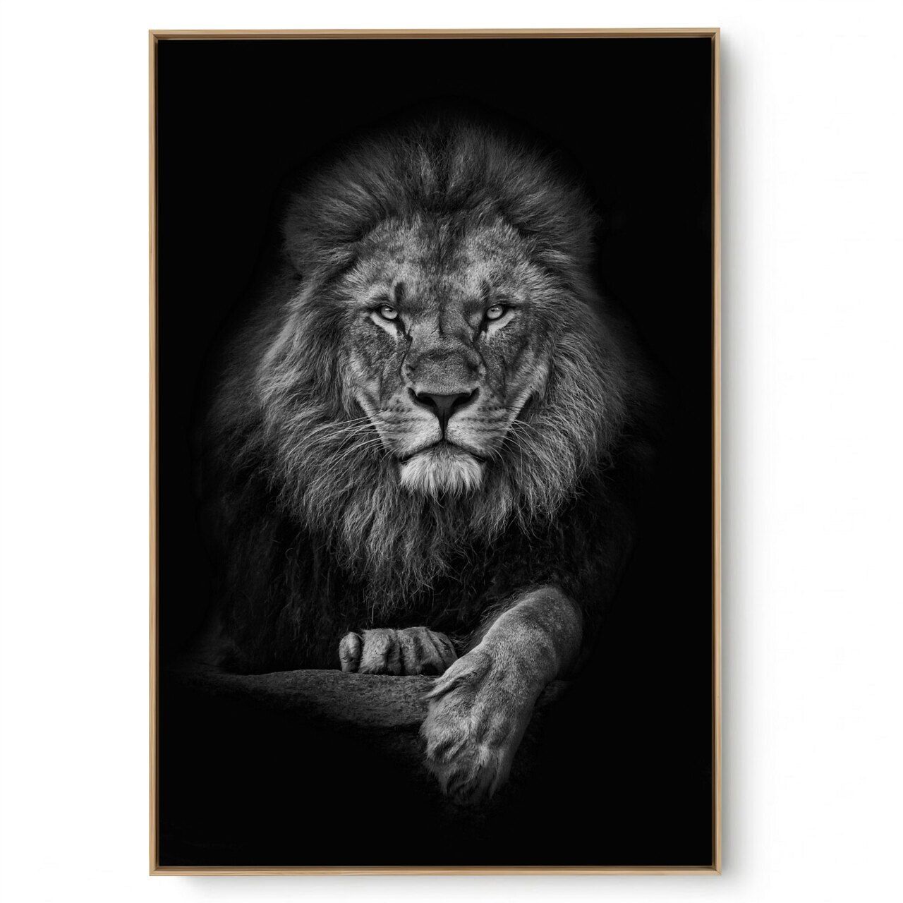 Quadro Decorativo Leão Frontal 