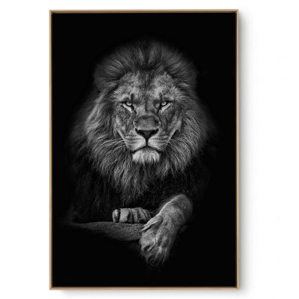 Quadro Decorativo Leão Frontal