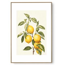 Quadro Decorativo Cozinha Limão I