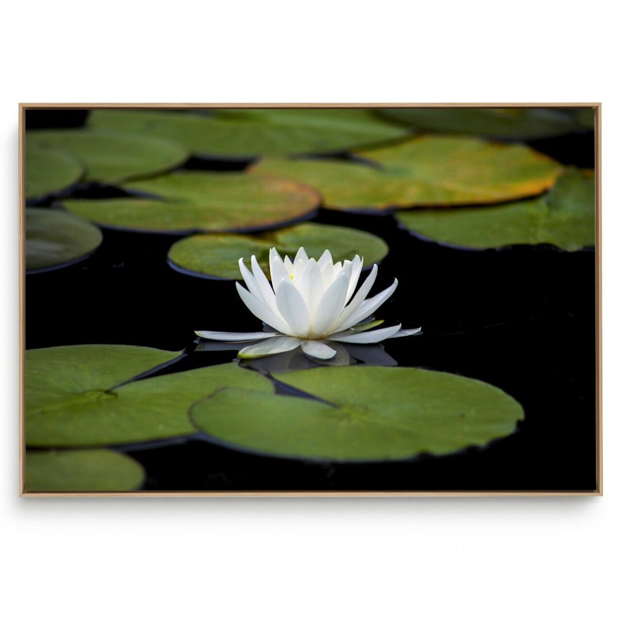 Quadro Decorativo Lótus XII