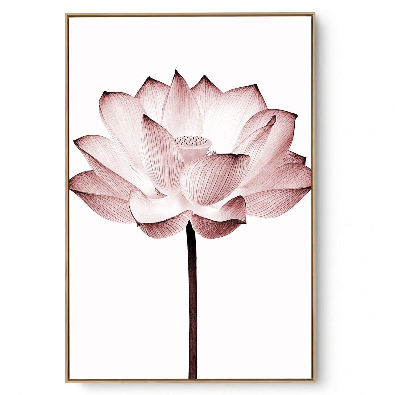 Quadro Decorativo Lótus LL 01