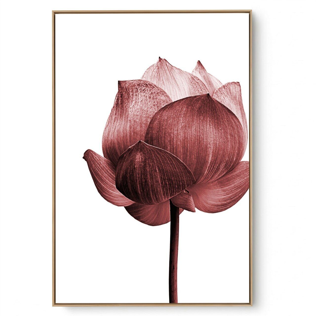 Quadro Decorativo Lótus LL 02