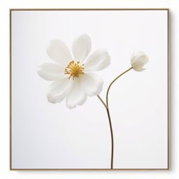 Quadro Decorativo Margarida III
