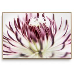 Quadro Decorativo Miolo