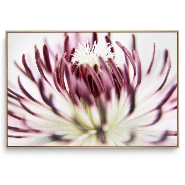 Quadro Decorativo Miolo