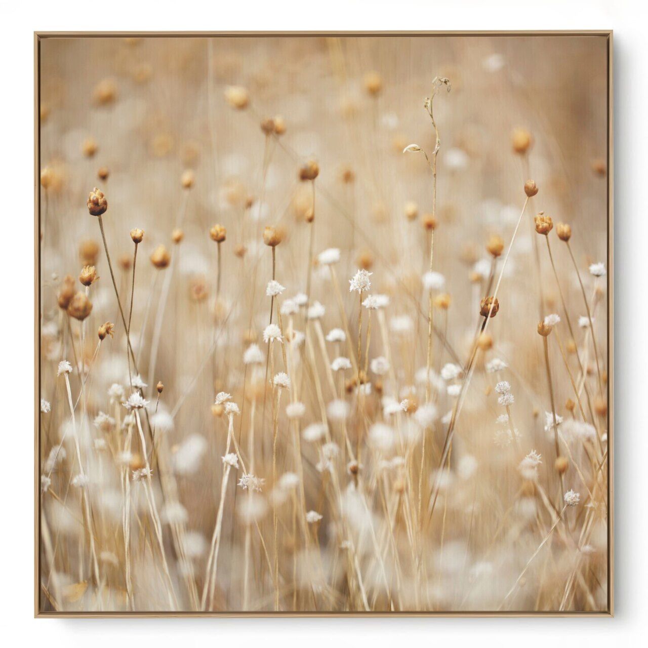 Quadro Decorativo Mini do Campo Q