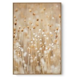 Quadro Decorativo Mini do Campo V