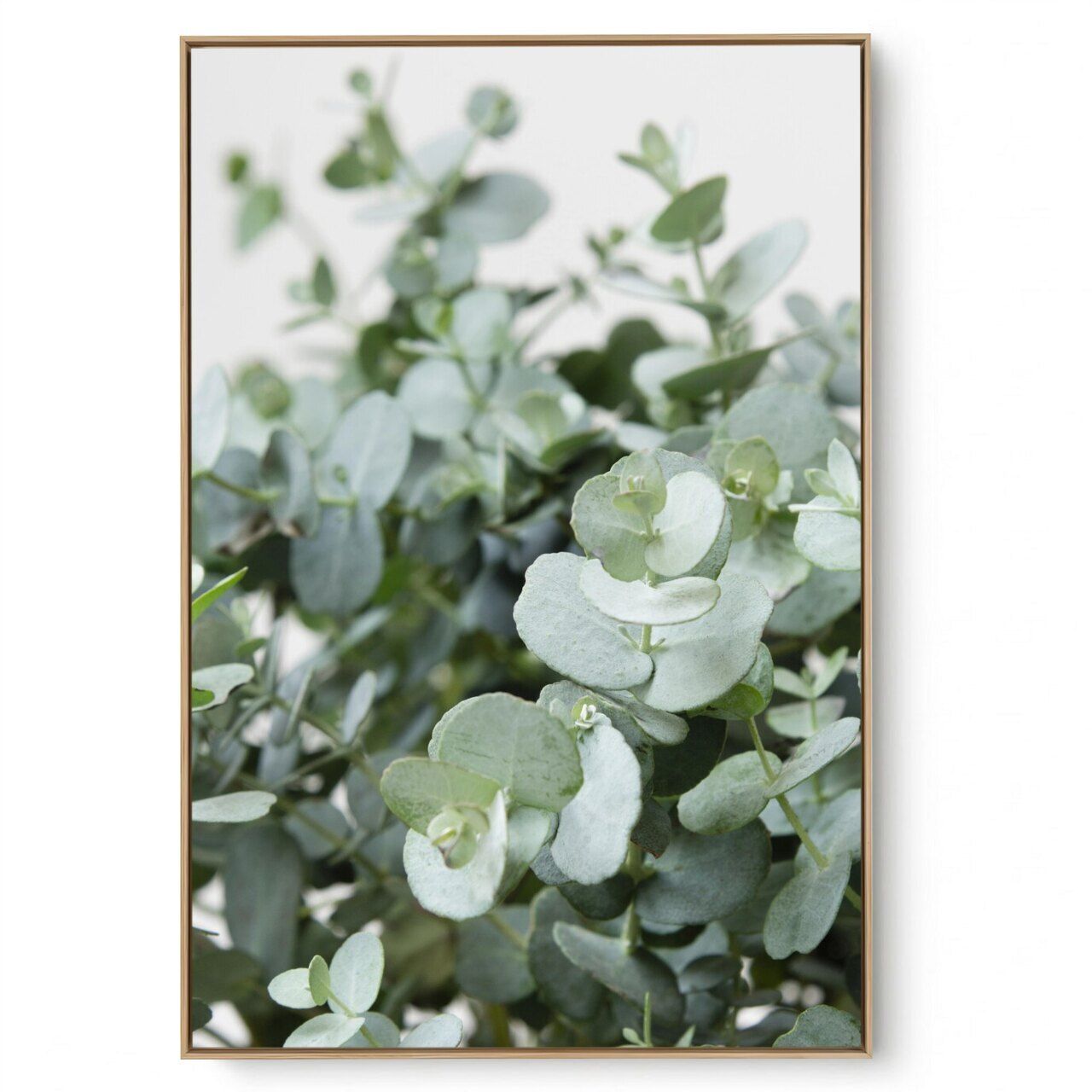 Quadro Decorativo Nature IV