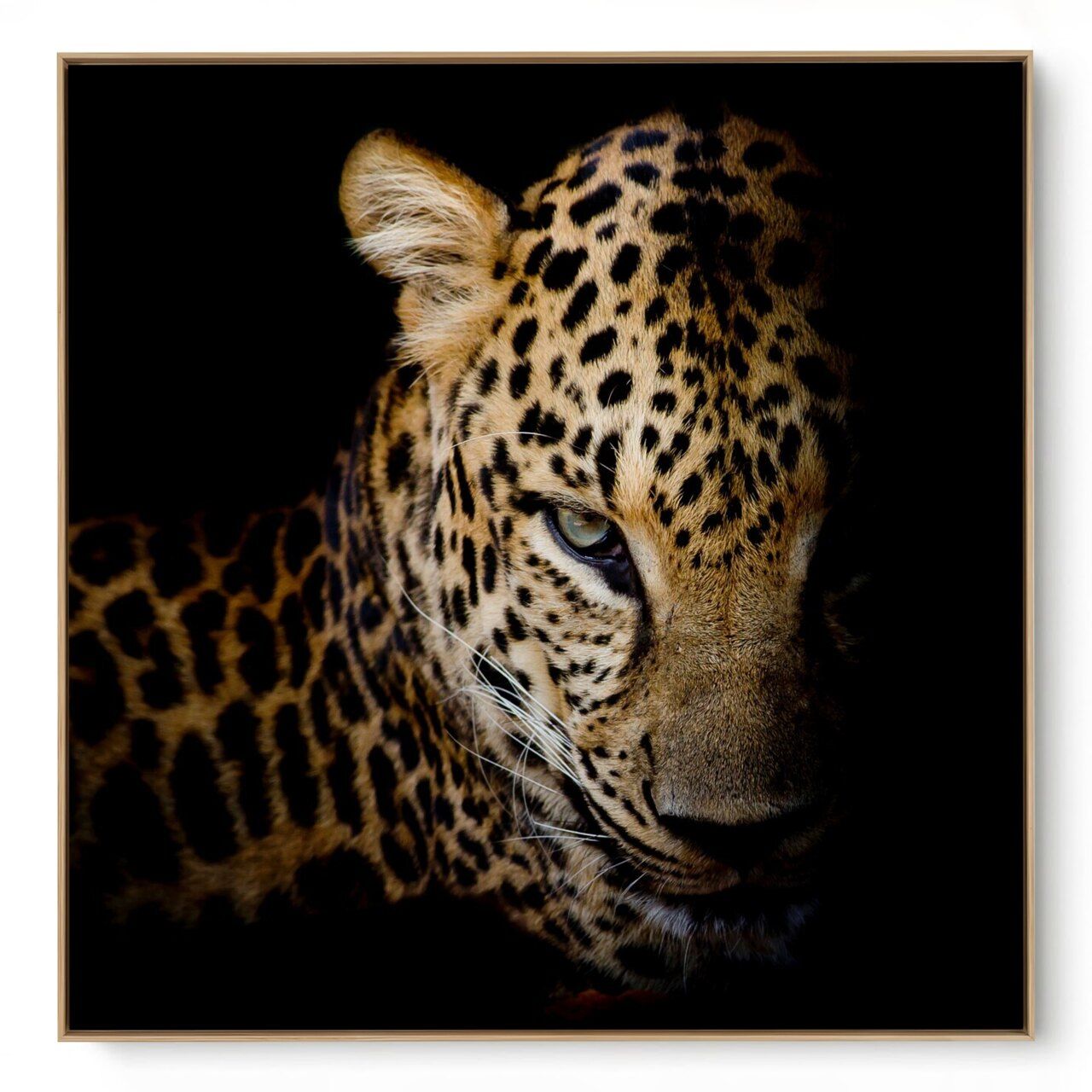 Quadro Decorativo Onça III