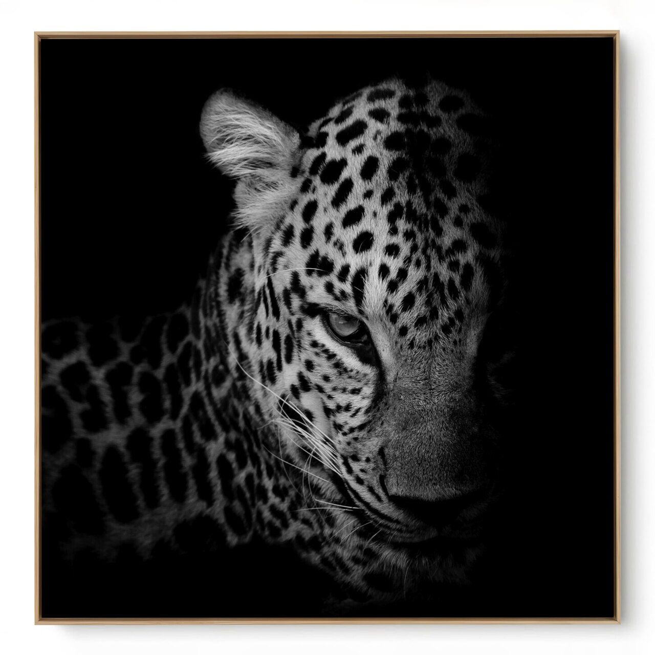 Quadro Decorativo Onça IV 
