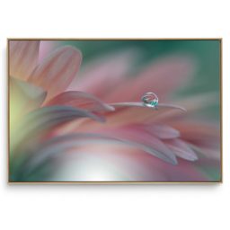 Quadro Decorativo Orvalho II