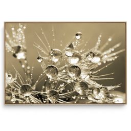 Quadro Decorativo Orvalho Cristal