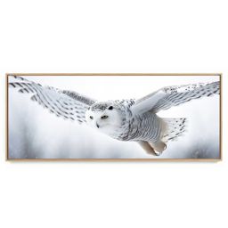 Quadro Decorativo Panorâmico Coruja IV