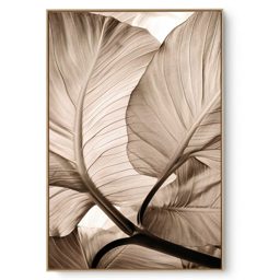 Quadro Decorativo Palma Close I