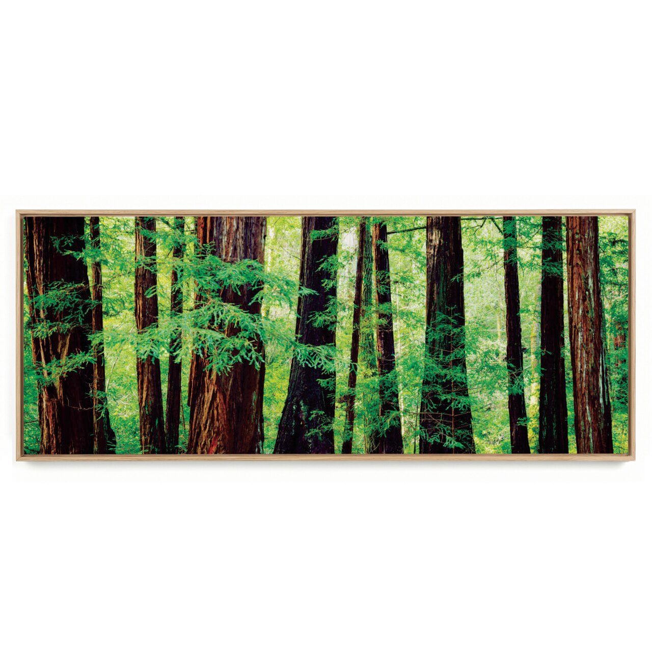 Quadro Decorativo Panorâmico Árvore  P 1
