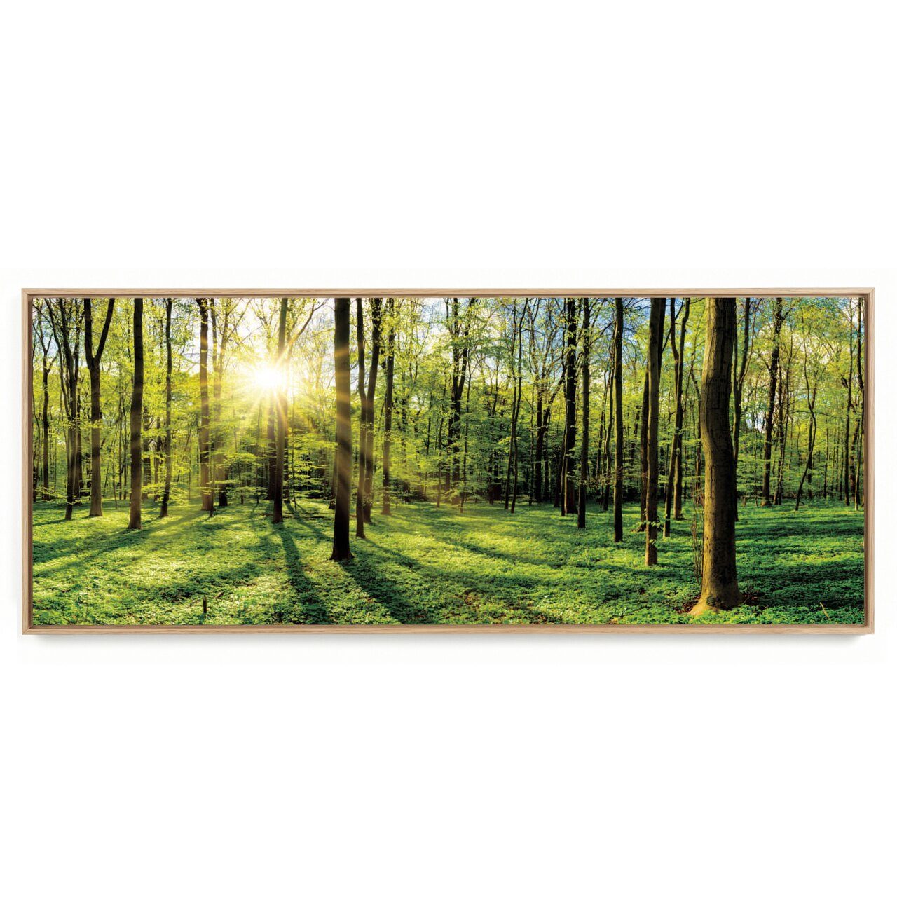 Quadro Decorativo Panorâmico Árvore P 2