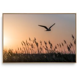 Quadro Decorativo Paisagem Pássaros Ao Vento II