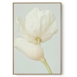 Quadro Decorativo Pérola Suave II