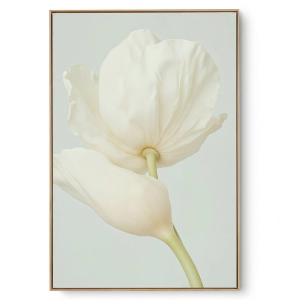 Quadro Decorativo Pérola Suave II