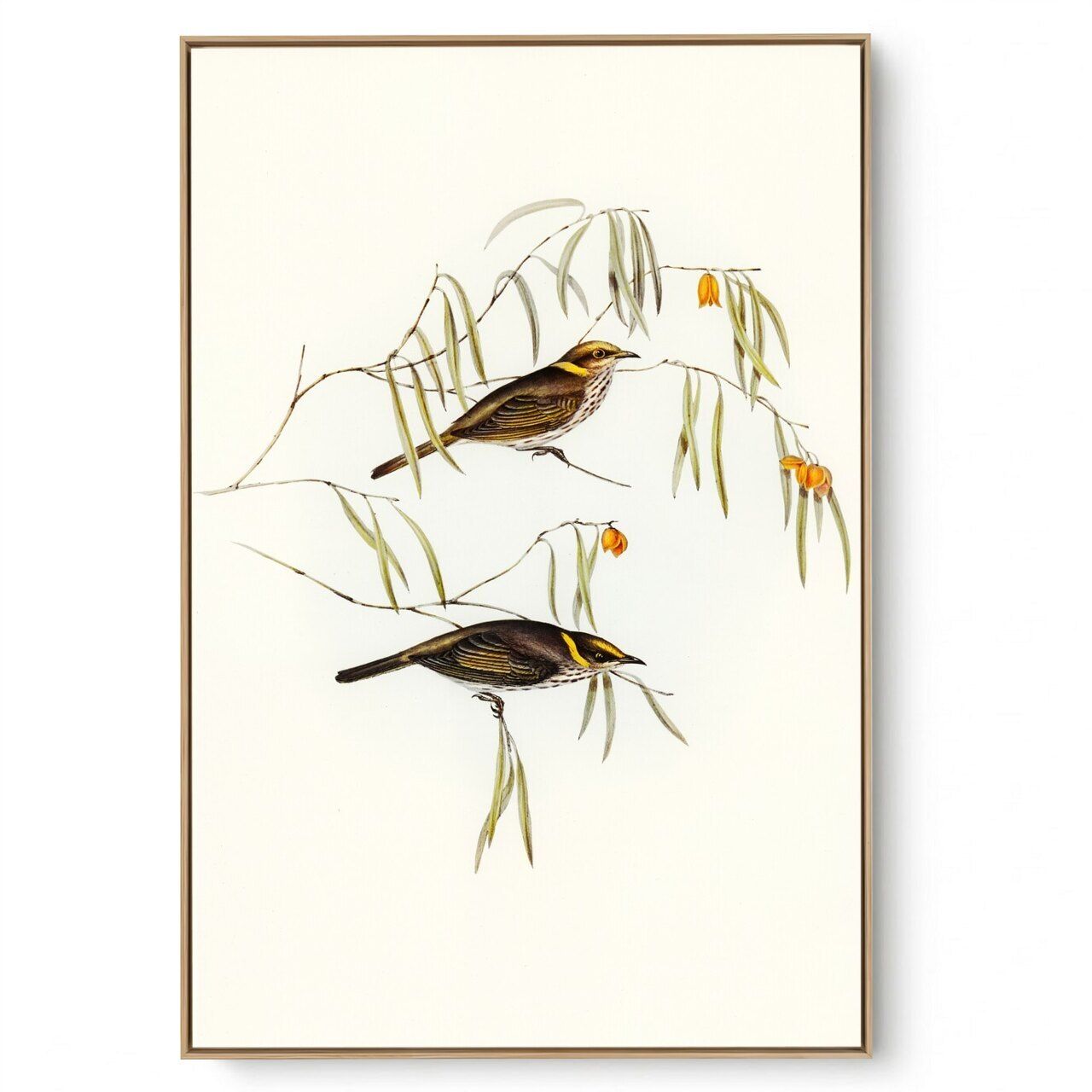 Quadro Decorativo Pássaro Vintage  I