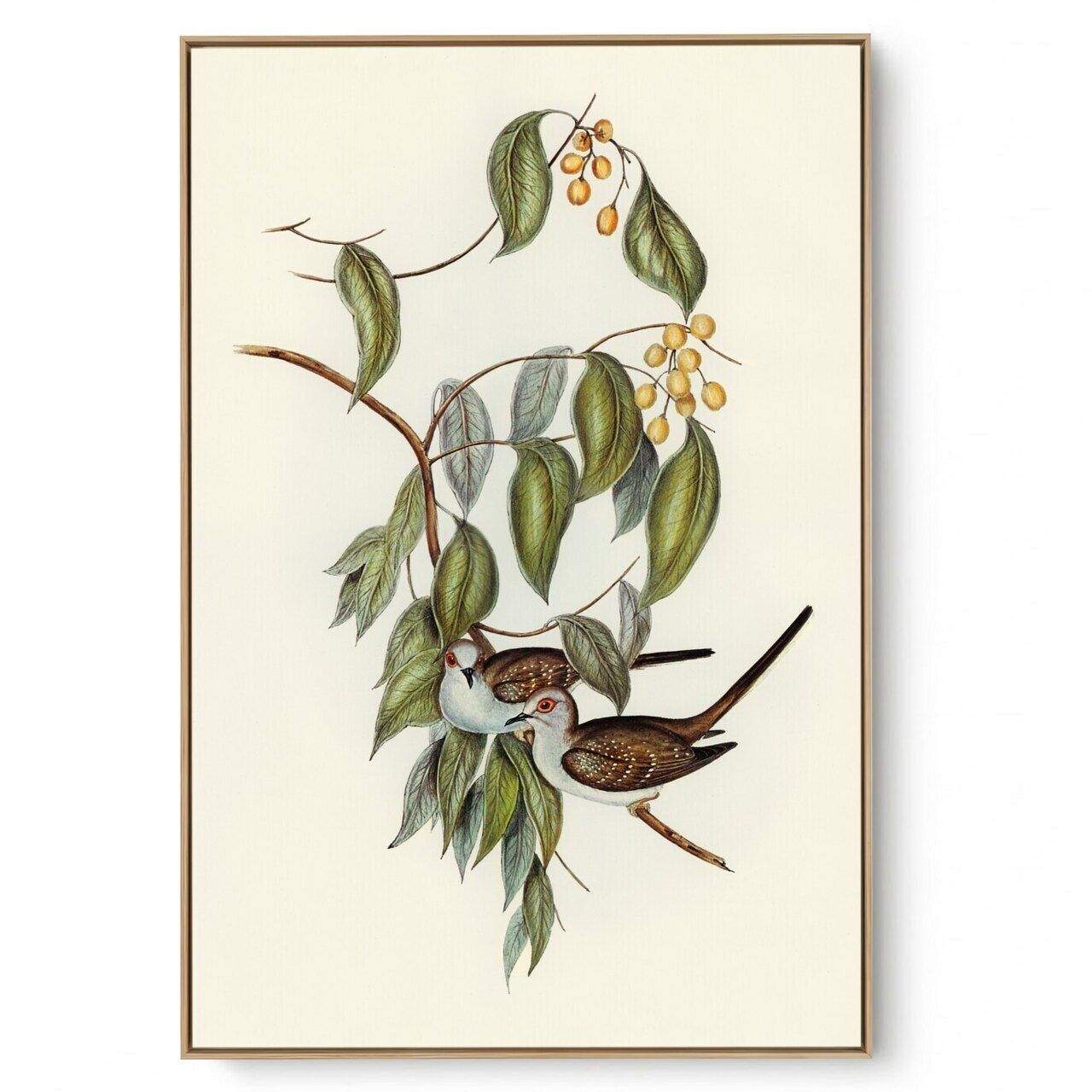 Quadro Decorativo Pássaro Vintage II