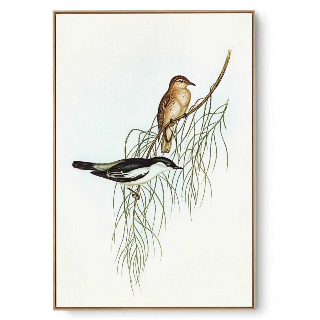 Quadro Decorativo Pássaro Vintage IV