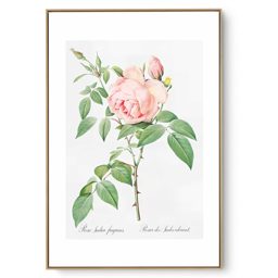 Quadro Decorativo Rosas Vintage V