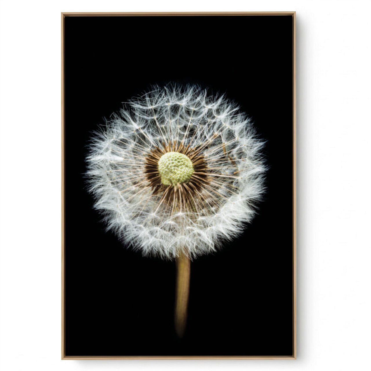 Quadro Decorativo Suave e Black
