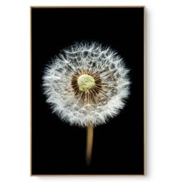 Quadro Decorativo Suave e Black