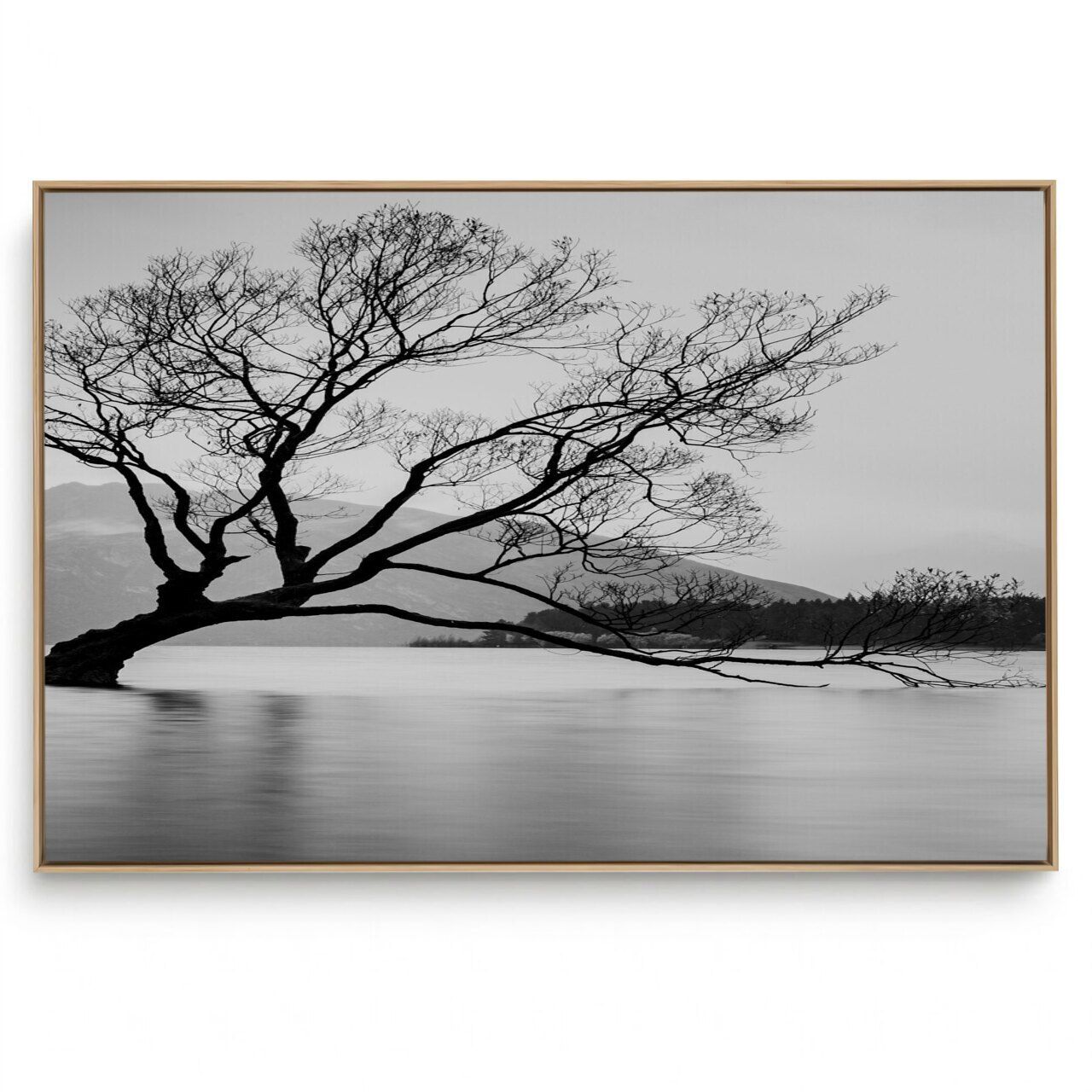 Quadro Decorativo Sereno III