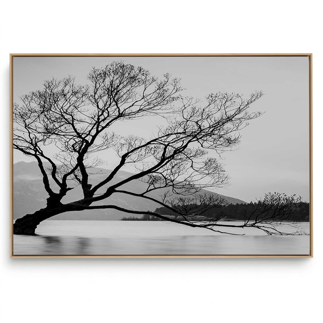 Quadro Decorativo Sereno III